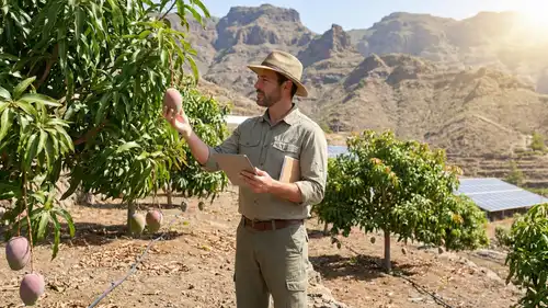 Supervisión Técnica