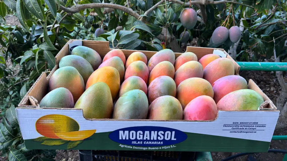 Producción Integrada