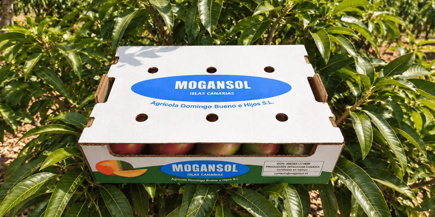 Tapa de la caja Selección de 6 kg